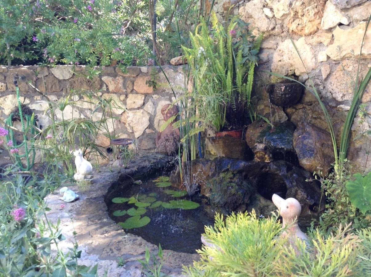 Olive House Traditional Villa With Pool Sitía Exterior foto